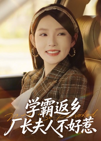学霸返乡厂长夫人不好惹封面图