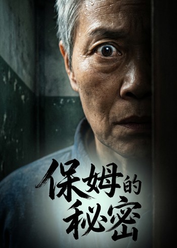 保姆的秘密封面图
