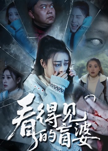 看得见的盲婆封面图