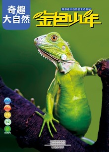 金色少年奇趣大自然