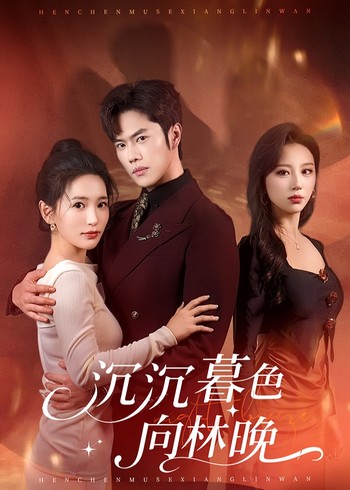 沉沉暮色向林晚封面图