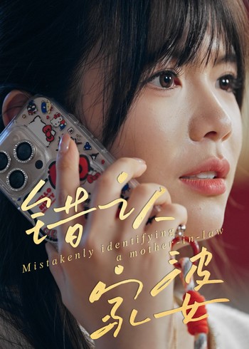 错认家婆封面图