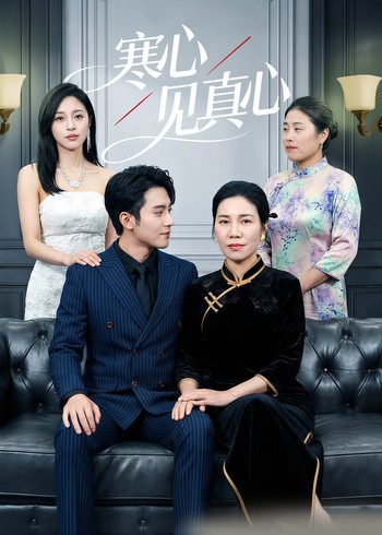 寒心见真心封面图