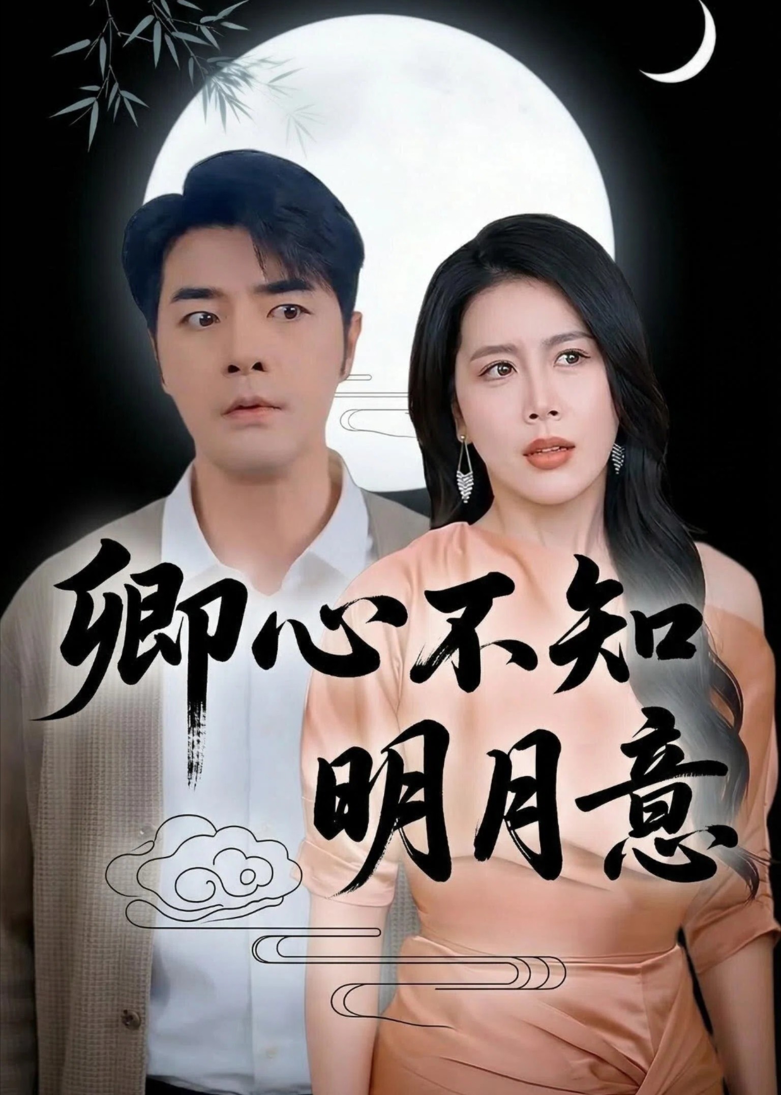 卿心不知明月意封面图