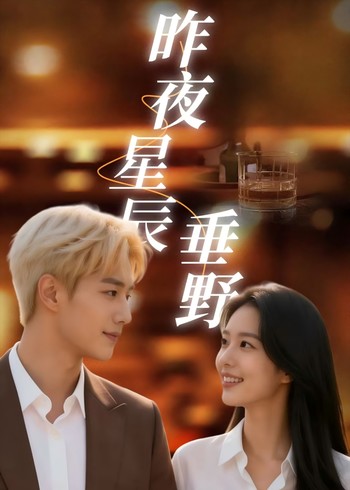 昨夜星辰垂野封面图