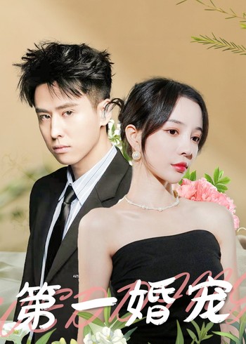 第一婚宠封面图