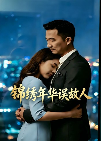 锦绣年华误故人封面图