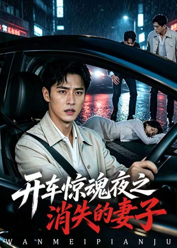 开车惊魂夜之消失的妻子