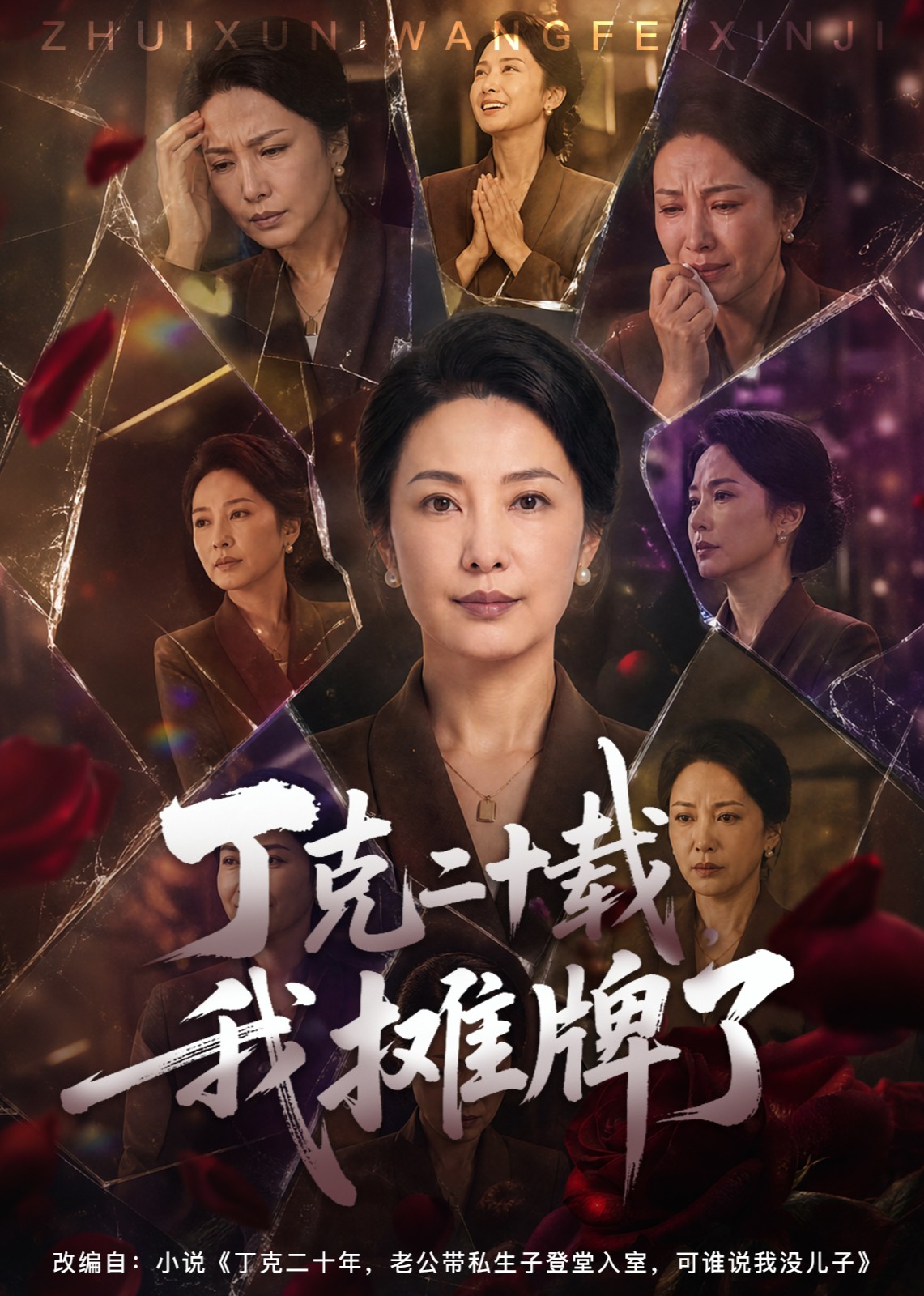 丁克二十载我摊牌了封面图