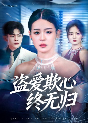 盗爱欺心终无归封面图