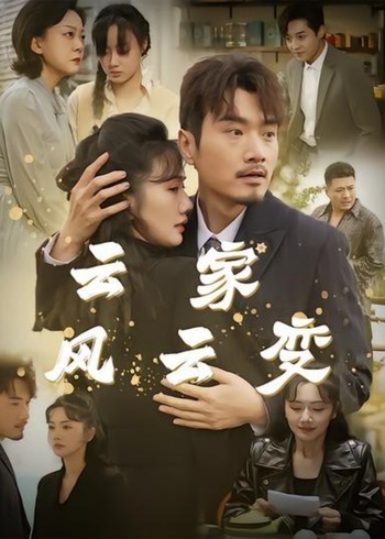 云家风云变封面图