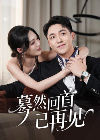 蓦然回首已再见封面图