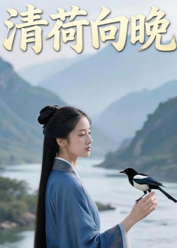 清荷向晚封面图