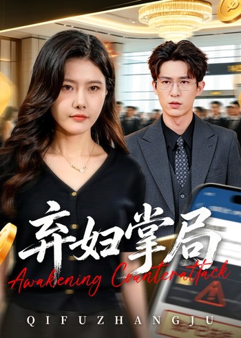 弃妇掌局封面图