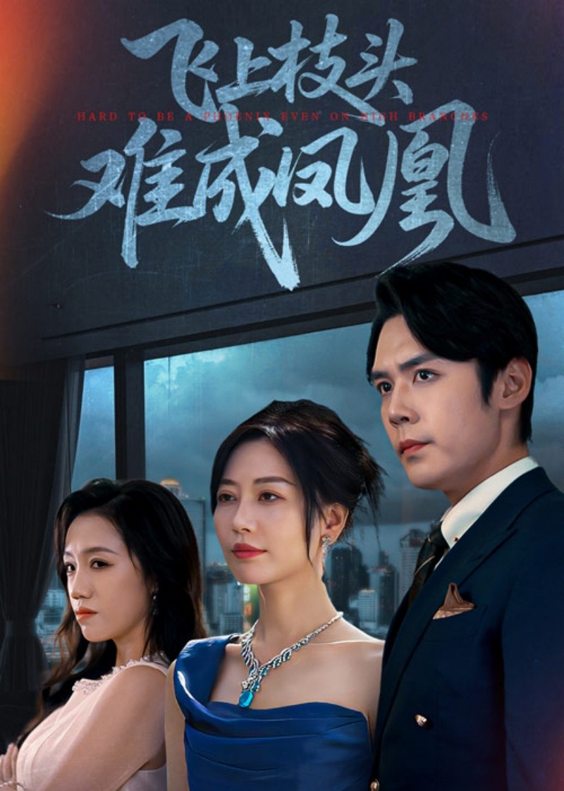 飞上枝头难成凤凰封面图