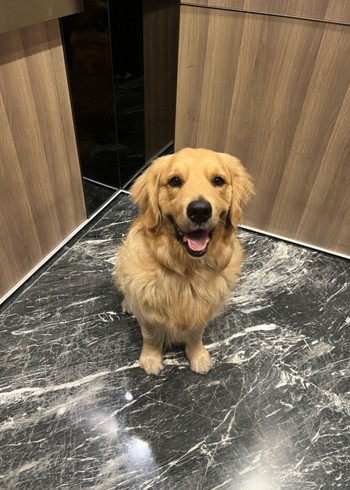 曼曼的多图文3封面图