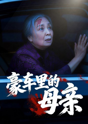 豪车里的母亲封面图