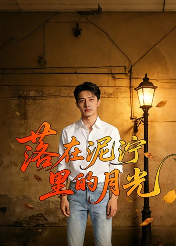 落在泥泞里的月光