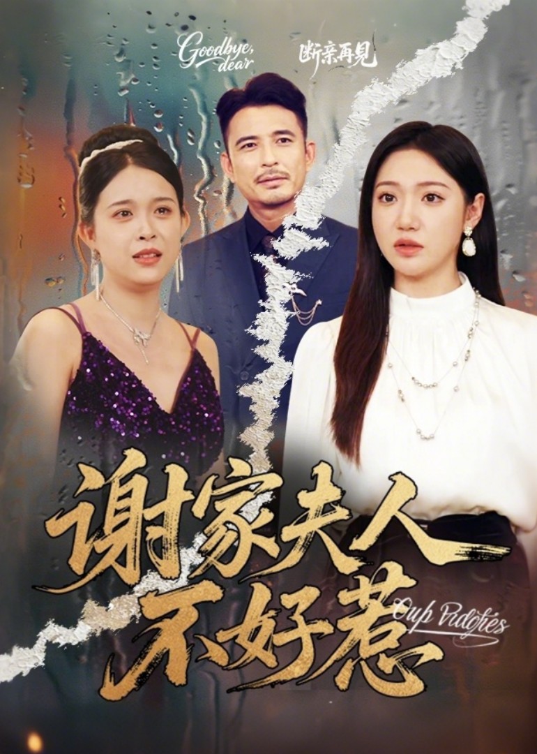 谢家夫人不好惹