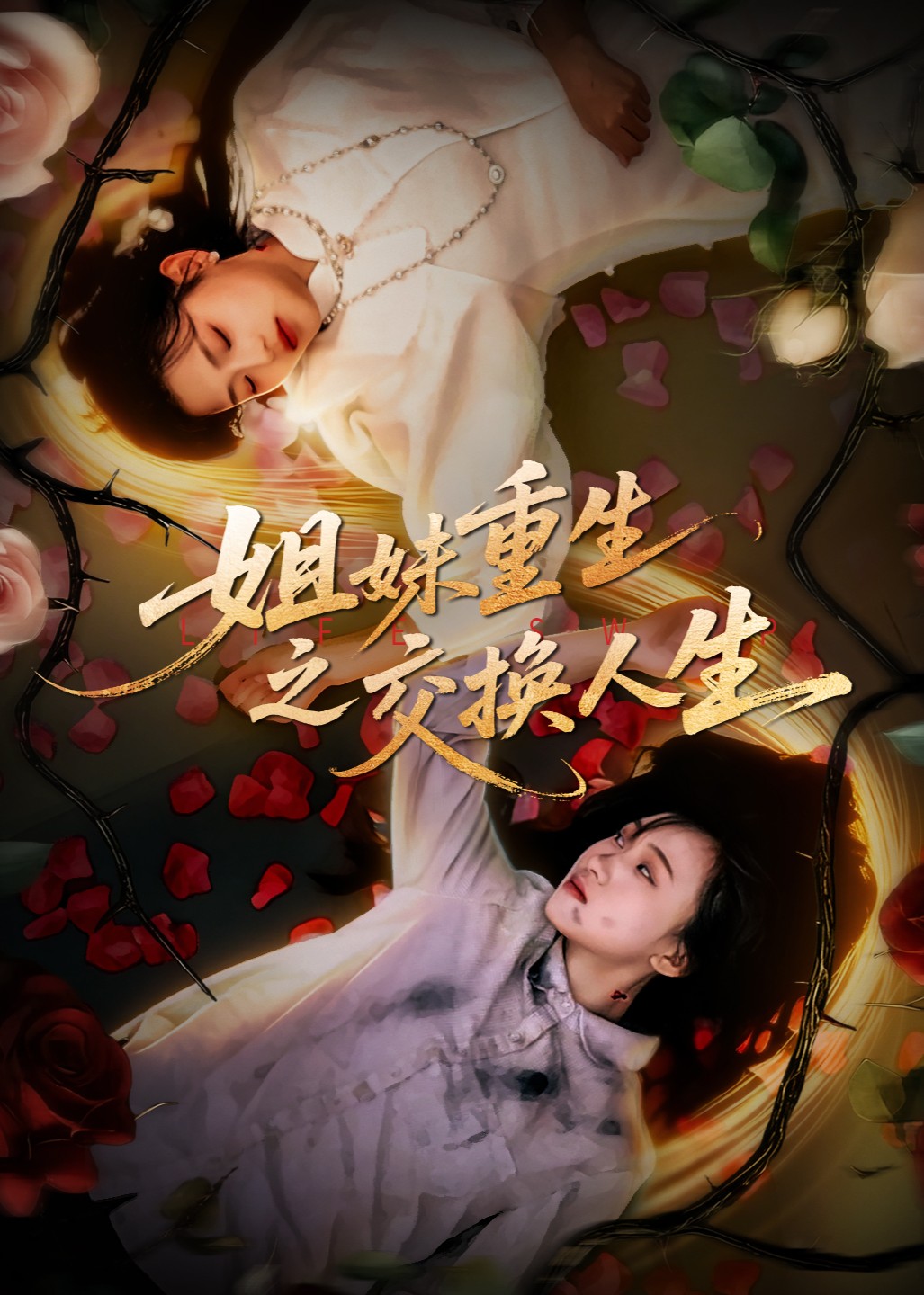 姐妹重生之交换人生