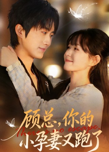 顾总你的小孕妻又跑了封面图