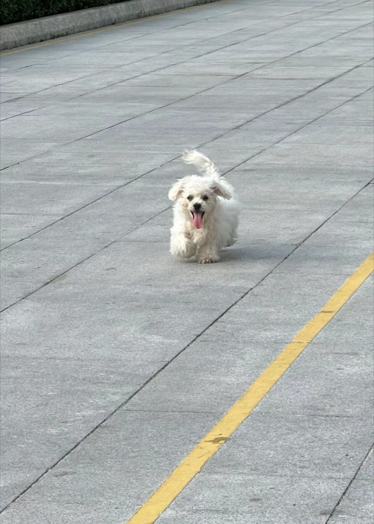 曼曼的剧独家封面图
