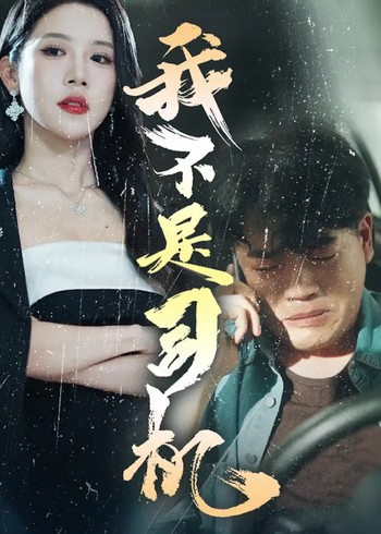 我不是司机封面图