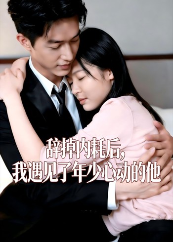 辞掉内耗后我遇见了年少心动的他封面图
