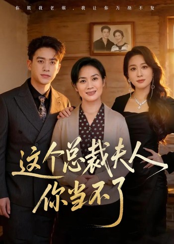 这个总裁夫人你当不了封面图