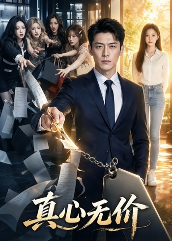 真心无价封面图