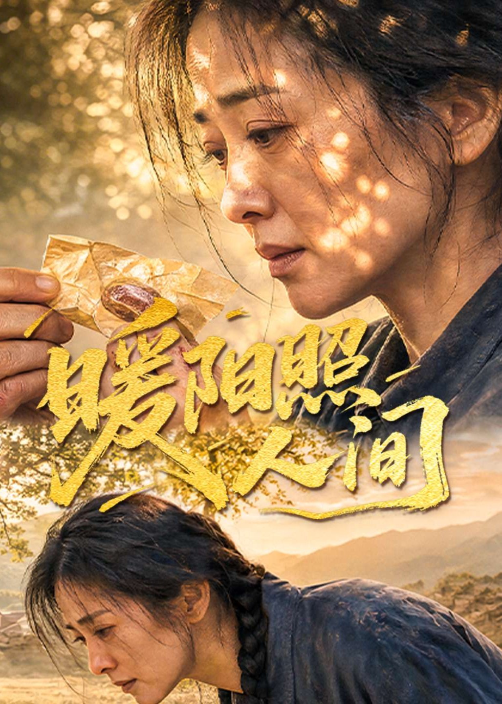 暖阳照人间封面图