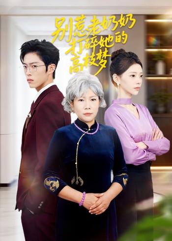 别惹老奶奶打碎她的高枝梦封面图