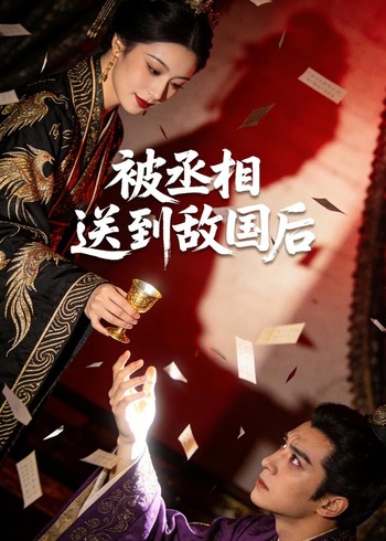 被丞相送到敌国后封面图