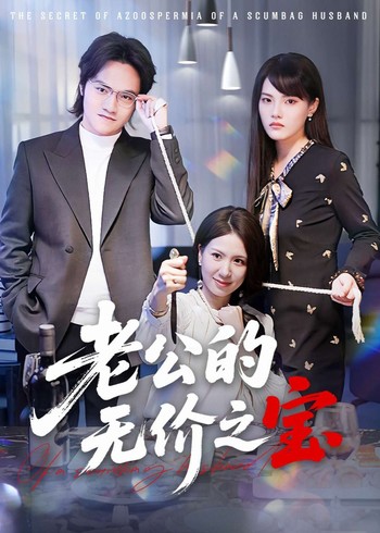 老公的无价之宝封面图