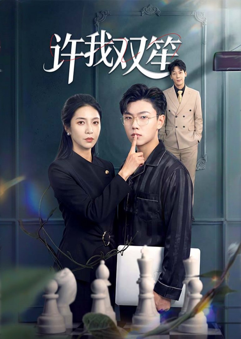 许我双笙封面图