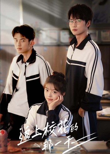 追上校花的那一天封面图