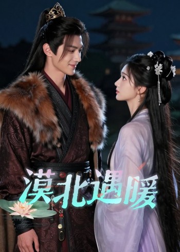 漠北遇暖封面图