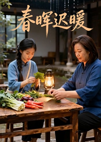 春晖迟暖封面图