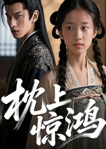 枕上惊鸿封面图