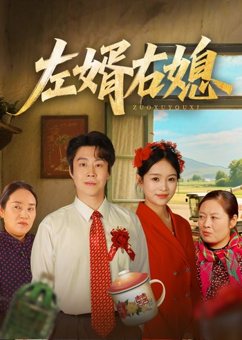 左婿右媳封面图