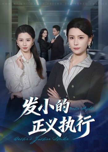 发小的正义执行封面图
