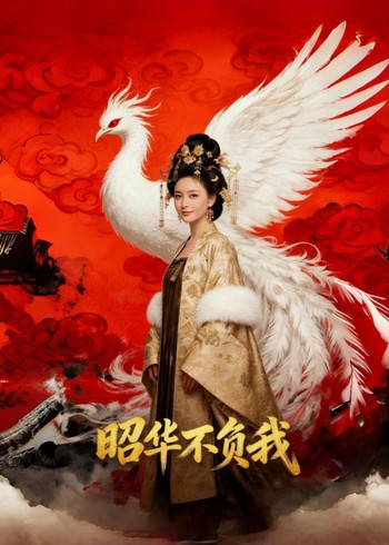 昭华不负我封面图