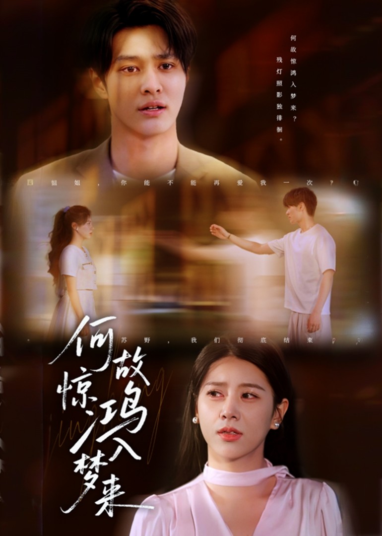 何故惊鸿入梦来