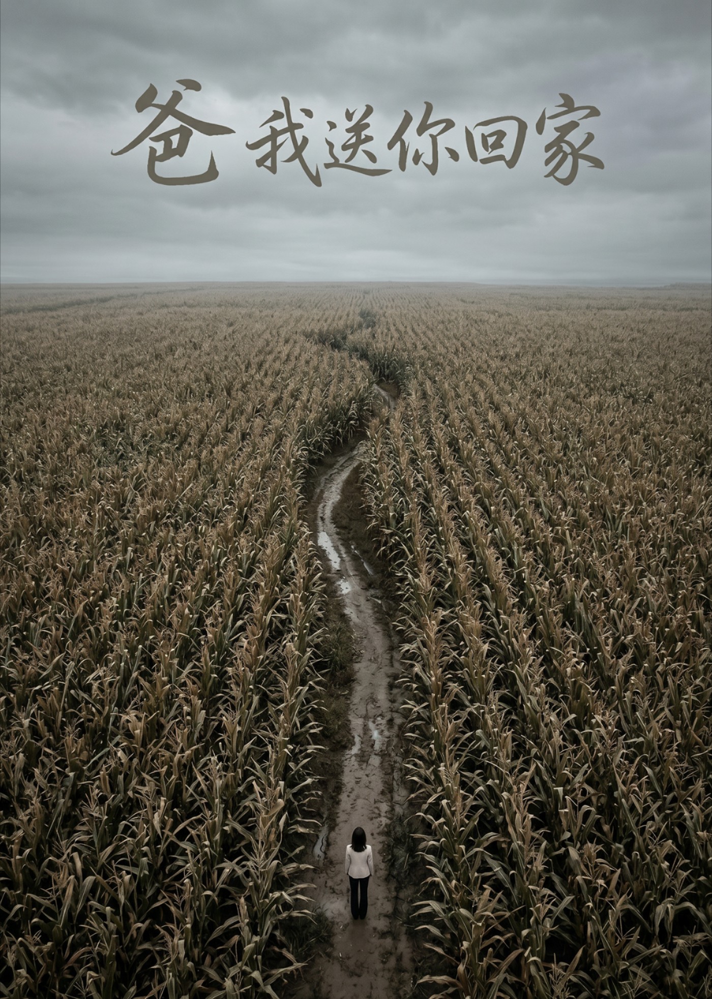 爸，我送你回家