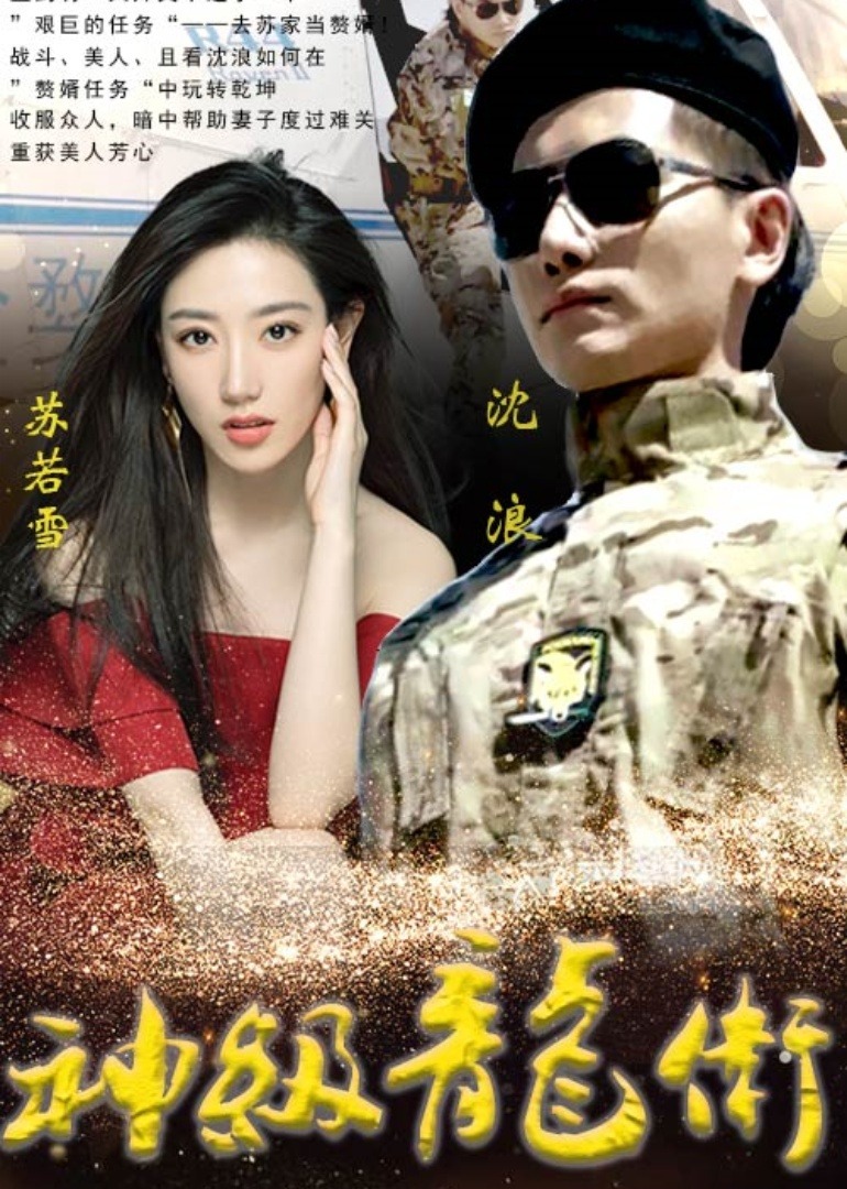 神级龙卫 海报