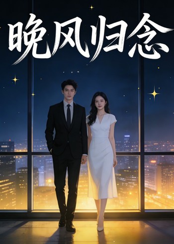 晚风归念封面图