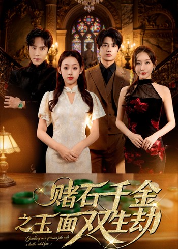 赌石千金之玉面双生劫封面图