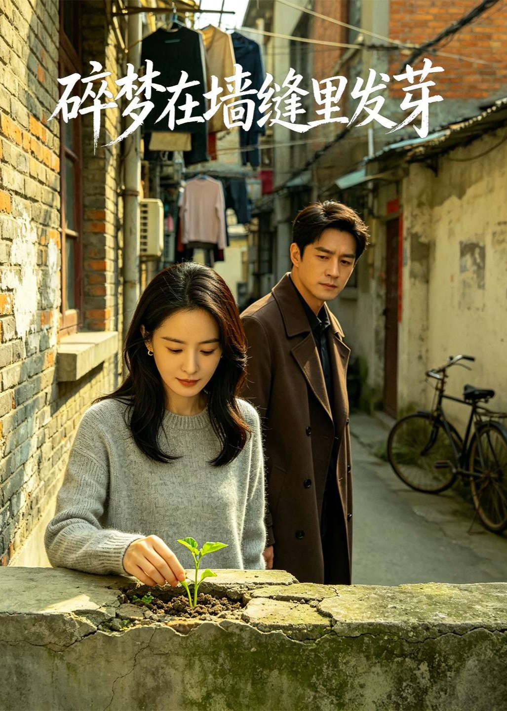 碎梦在墙缝里发芽