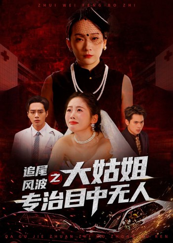 追尾风波之大姑姐专治目中无人封面图