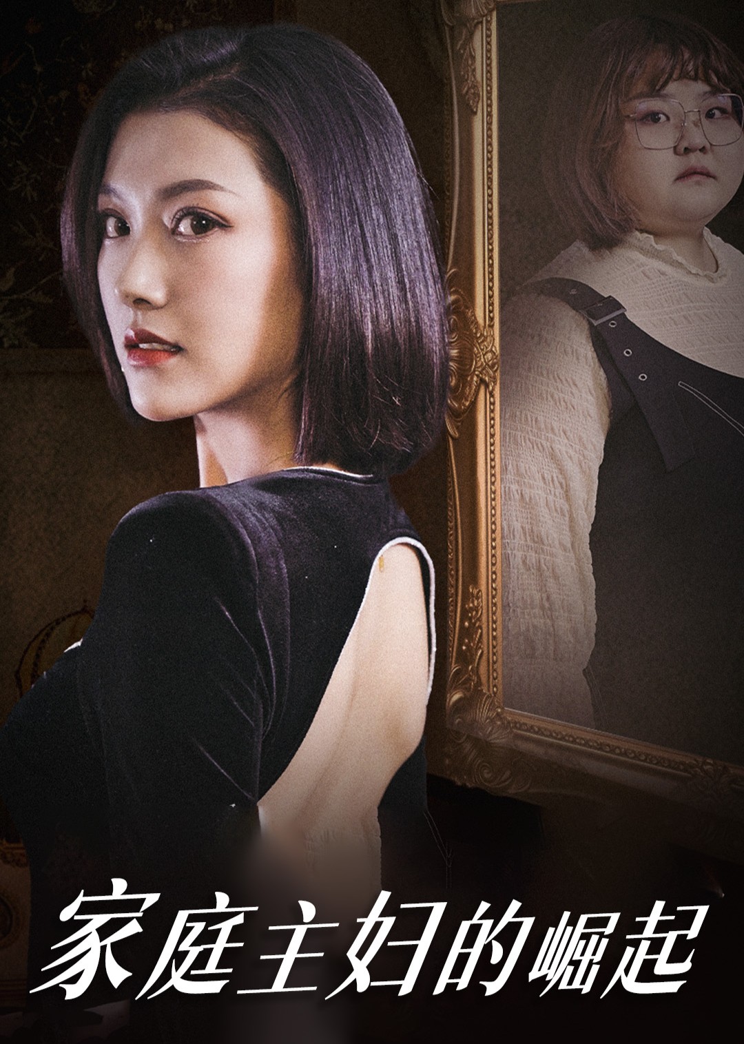 家庭主妇的崛起封面图